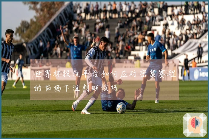 世界杯投注平台如何应对密集赛程的临场下注判断技巧